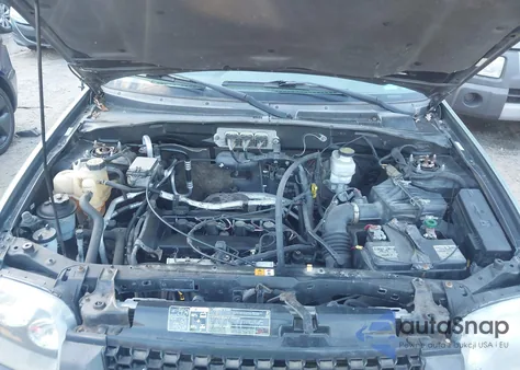 2007 Ford Escape Xlt z USA, uszkodzony, nr VIN 1FMYU03Z07KB37371